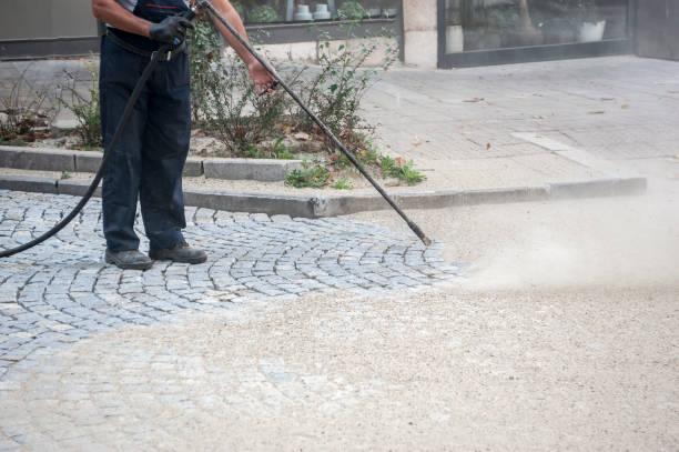 Best Gutter Cleaning  in Shelbyville, TN
